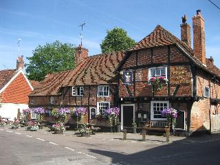 The Plume of Feathers - Inn fotoÄŸrafÄ±