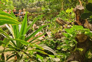 Tropical Islands fotoÄŸrafÄ±