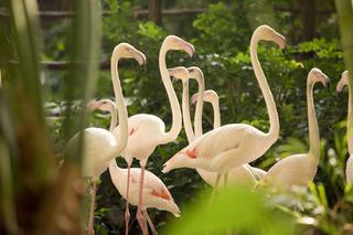 Tropical Islands fotoÄŸrafÄ±