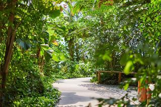 Tropical Islands fotoÄŸrafÄ±