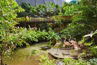 Tropical Islands fotoÄŸrafÄ±