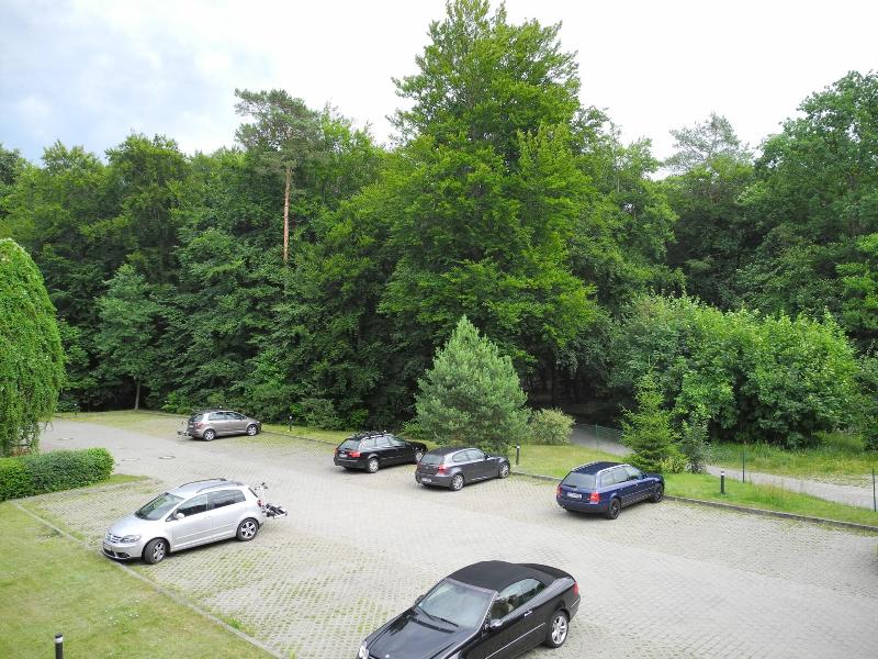 Waldhotel Wandlitz - Aktivite