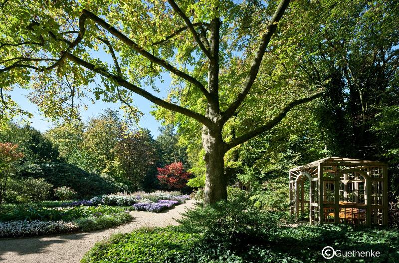 Holiday Inn Express Guetersloh - Genel