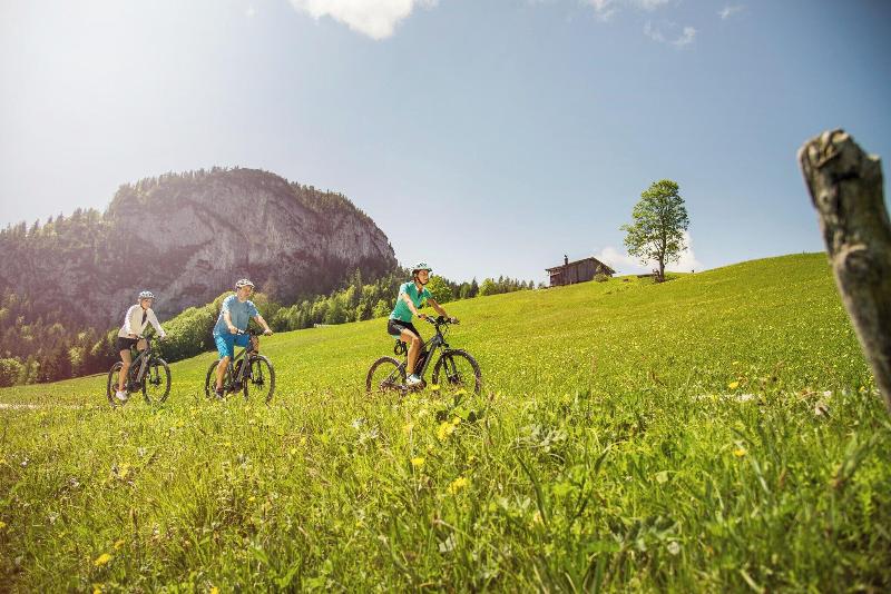 Vitaloase zu den drei Brüdern - Aktivite