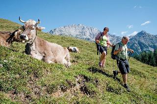 Vitaloase zu den drei Brüdern fotoÄŸrafÄ±