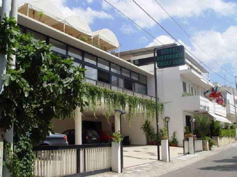 Hotel Degli Ulivi - Genel