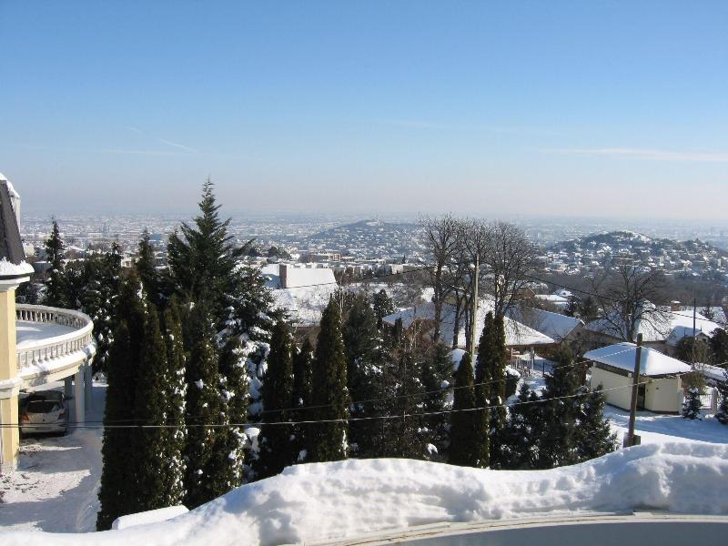 Molnar - Genel