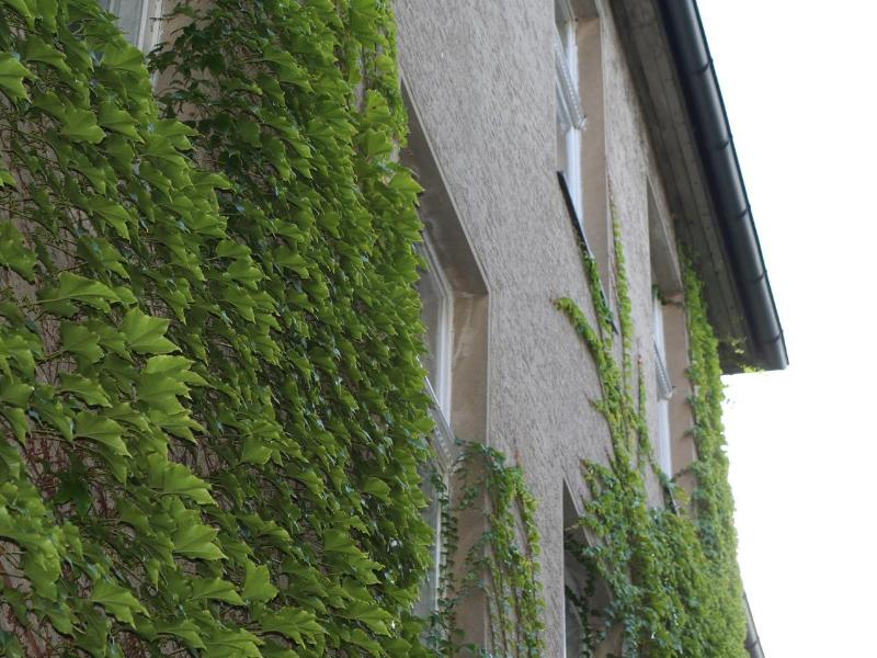 Seifert Pension - Genel