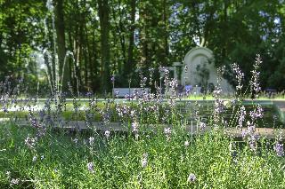 Ringhotel Vitalhotel Ambiente fotoÄŸrafÄ±