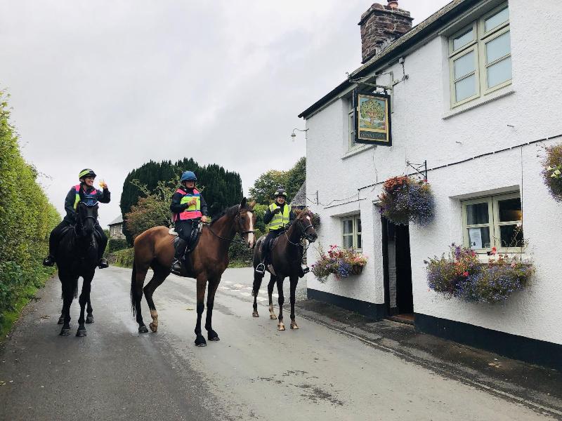 The Royal Oak Inn - Genel