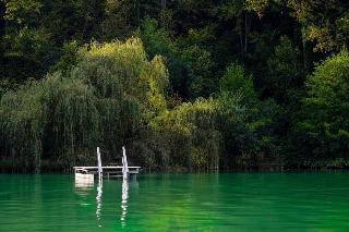 Gartenhotel Salzach fotoÄŸrafÄ±