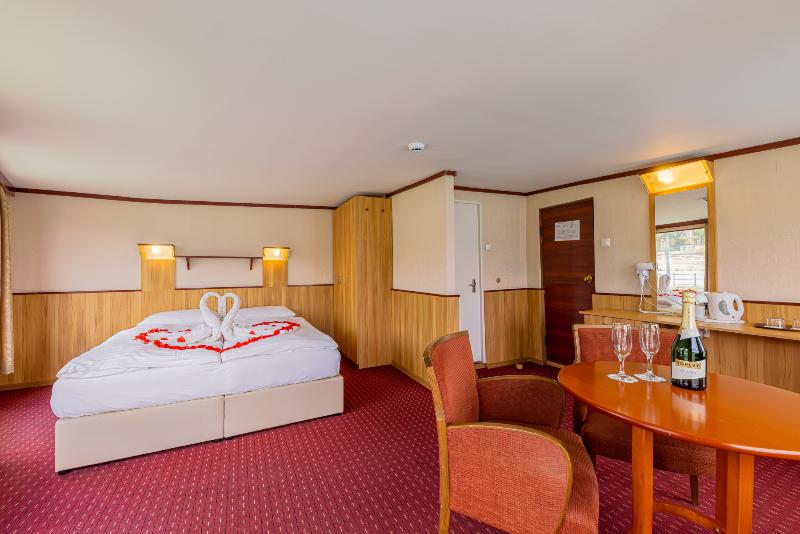 Fortuna Boat Hotel Budapest - Oda