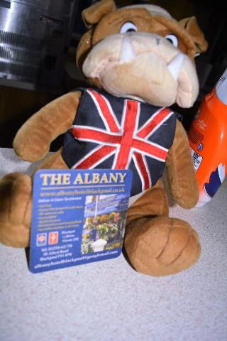 The Albany fotoÄŸrafÄ±