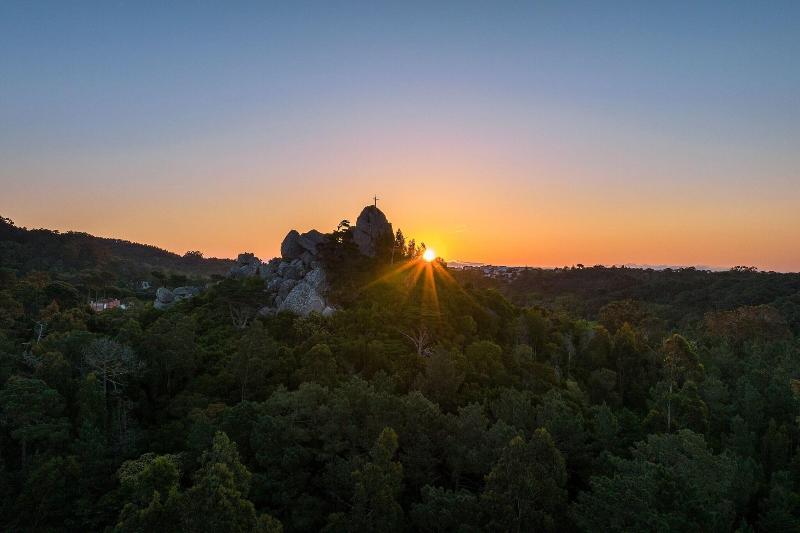 Penha Longa - Aktivite