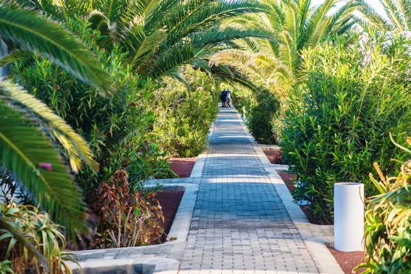 Rio Playa Blanca - Genel