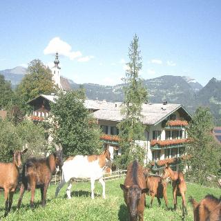 Haflingerhof hotel fotoÄŸrafÄ±