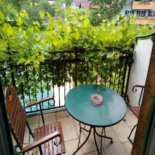Haflingerhof hotel fotoÄŸrafÄ±