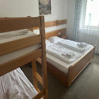 Haflingerhof hotel fotoÄŸrafÄ±