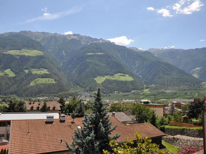 Weingarten - Genel