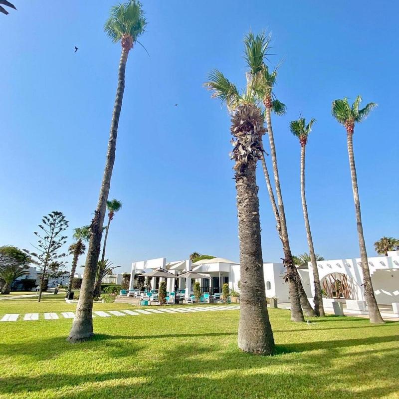 Residence Ain Meriem - Teras