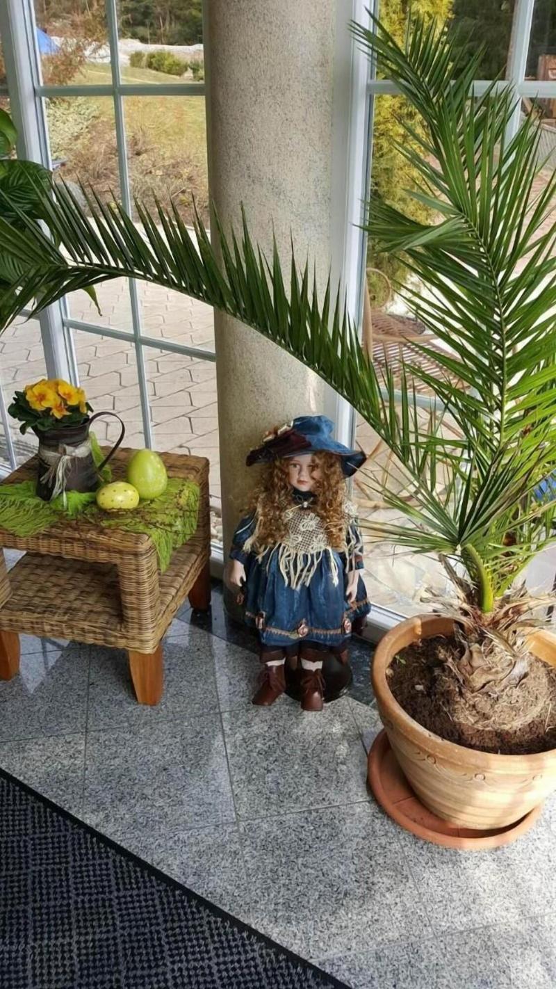 Wellness Resort Romantika - Genel