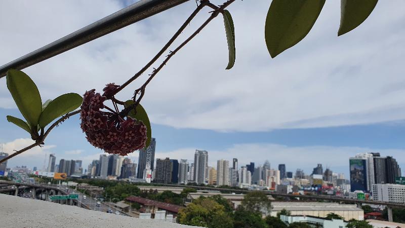 Interchange Tower Serviced Apartment - Teras