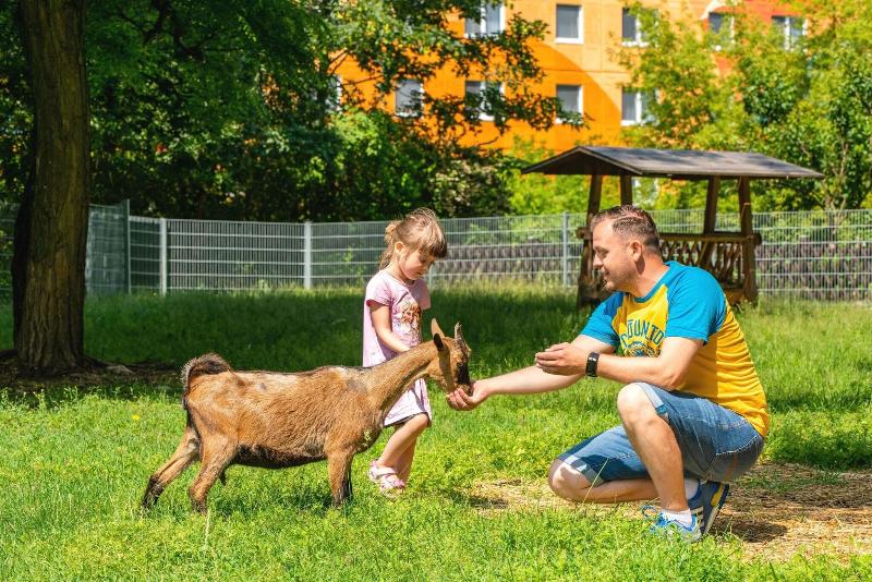AHORN Seehotel Templin - Aktivite