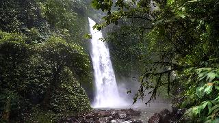 Bagus Agro Pelaga fotoÄŸrafÄ±