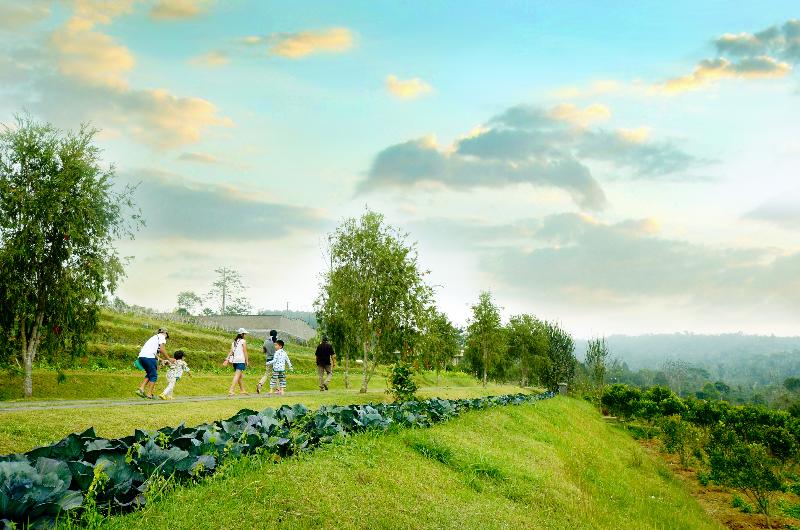 Bagus Agro Pelaga - Aktivite
