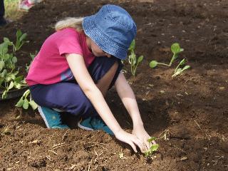 Bagus Agro Pelaga fotoÄŸrafÄ±