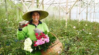 Bagus Agro Pelaga fotoÄŸrafÄ±