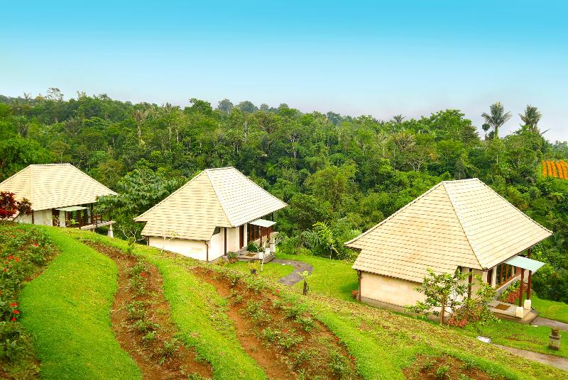 Bagus Agro Pelaga - Oda