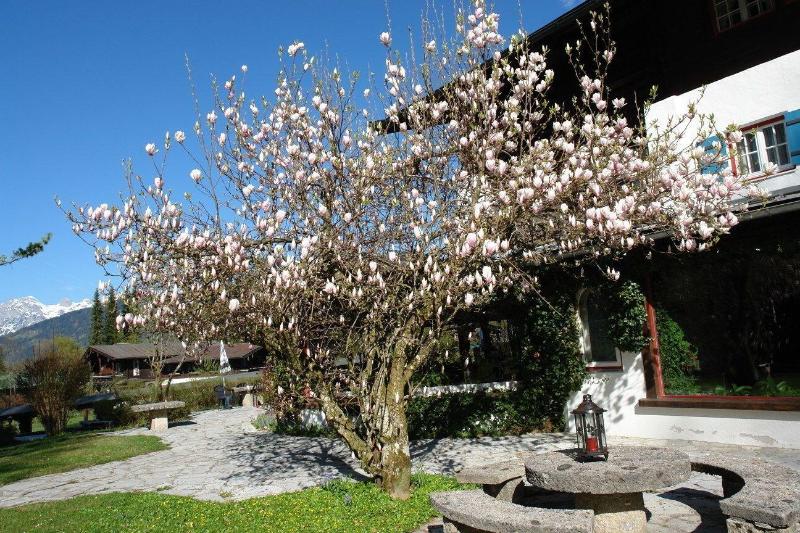 Stoll's Hotel Alpina - Genel