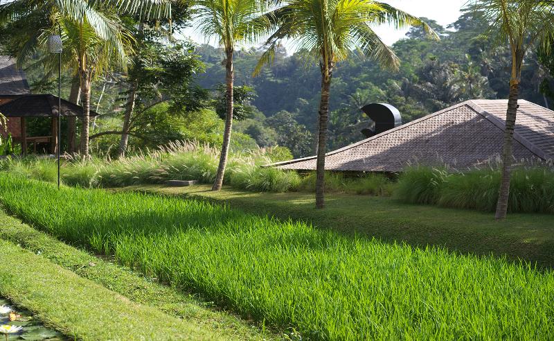 Chapung Sebali Resort - Genel