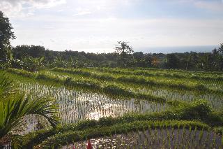 Puri Mangga SeaView Resort & Spa fotoÄŸrafÄ±