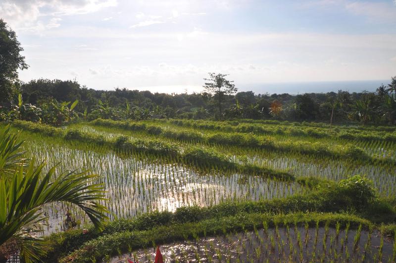 Puri Mangga SeaView Resort & Spa - Genel
