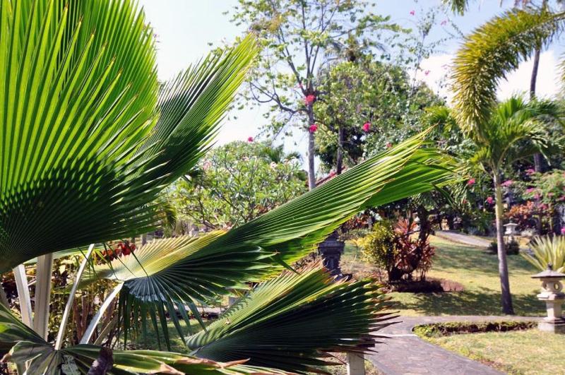 Puri Mangga SeaView Resort & Spa - Genel