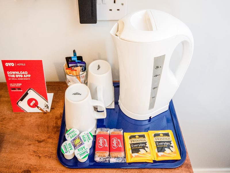 Oyo The Regency - Oda