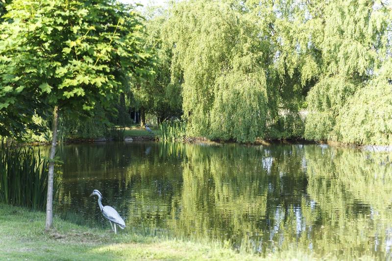 Champneys Springs Health Resorts - Genel