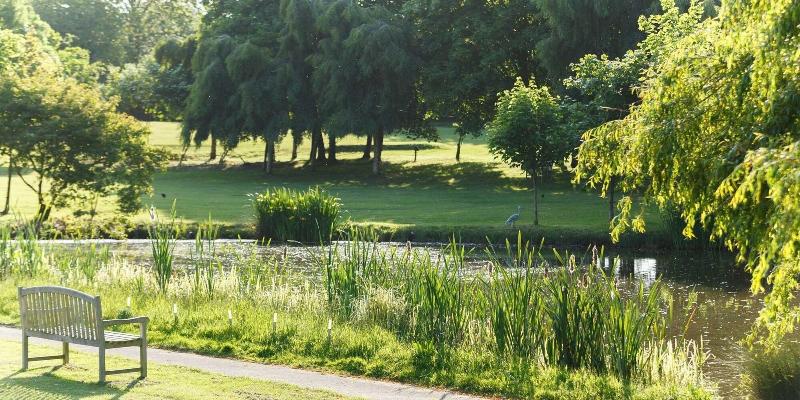Champneys Springs Health Resorts - Genel