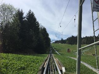 Landhotel Weisses Ross garni fotoÄŸrafÄ±