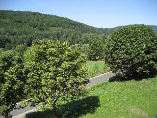 Landhotel Weisses Ross garni fotoÄŸrafÄ±