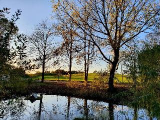 Van der Valk Golfhotel Serrahn fotoÄŸrafÄ±