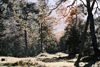 Sturm fotoÄŸrafÄ±