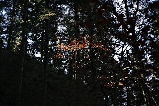 Sturm fotoÄŸrafÄ±