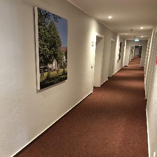 Jonathan fotoÄŸrafÄ±