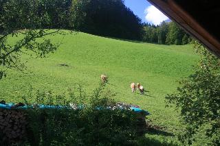 Alpenhotel Beslhof fotoÄŸrafÄ±