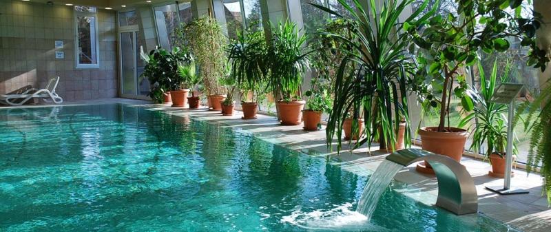 Residence Hotel Balaton**** superior - Havuz