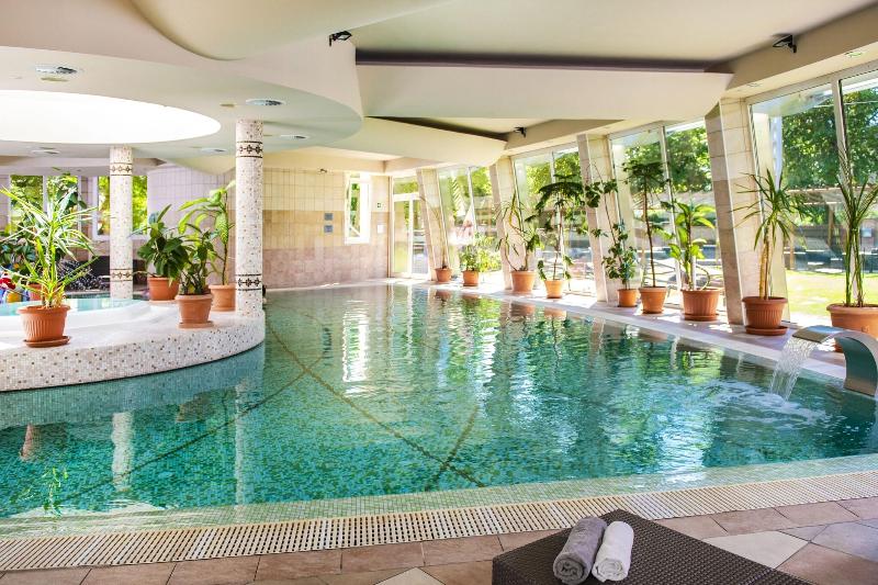 Residence Hotel Balaton**** superior - Havuz