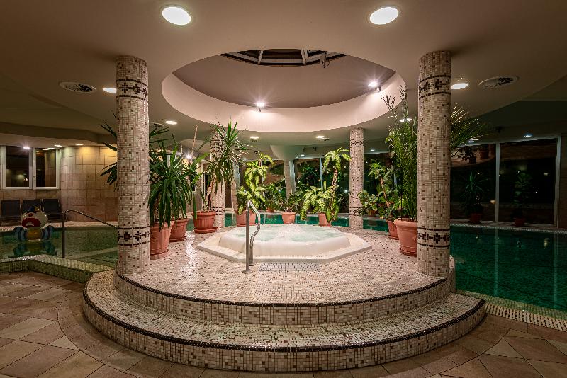Residence Hotel Balaton**** superior - Havuz